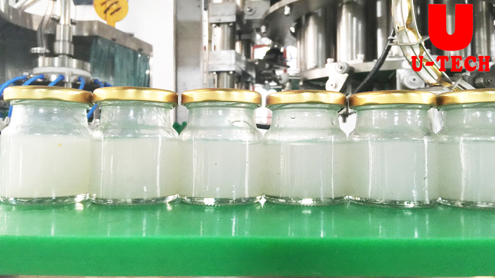 bird nest filling machine.jpg